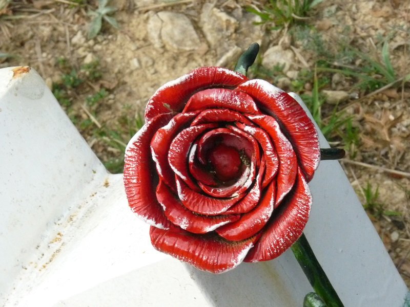 Txartelontziko xehetasunak