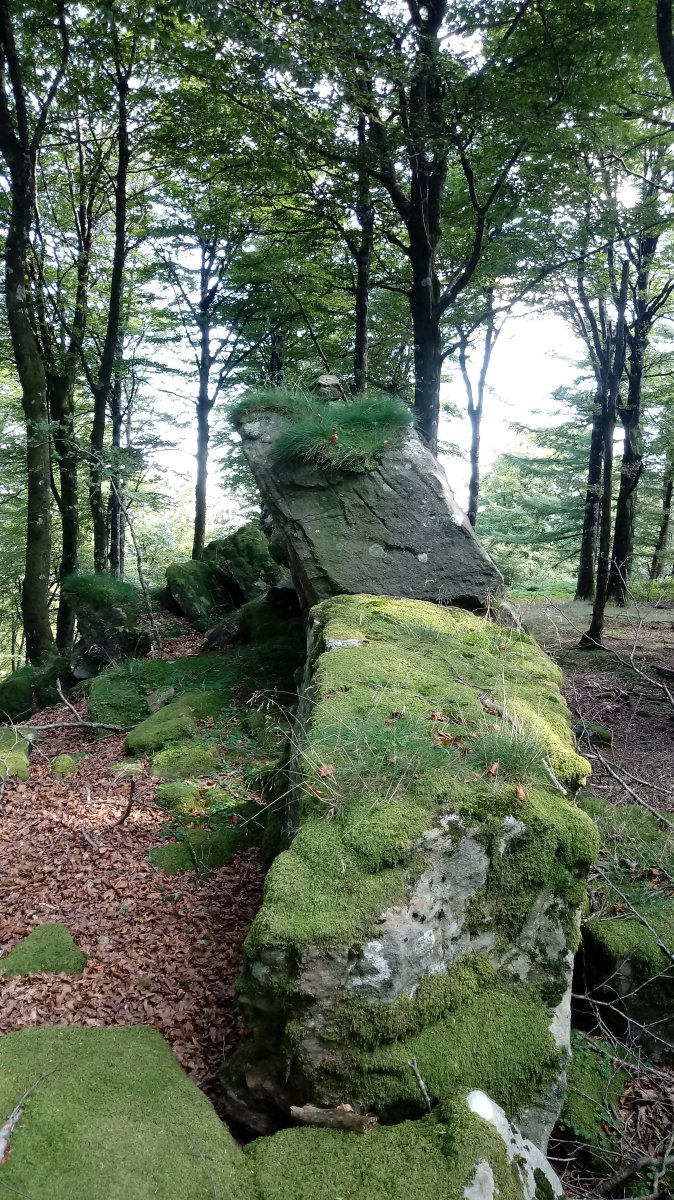 Kipular (1065m) tontorra