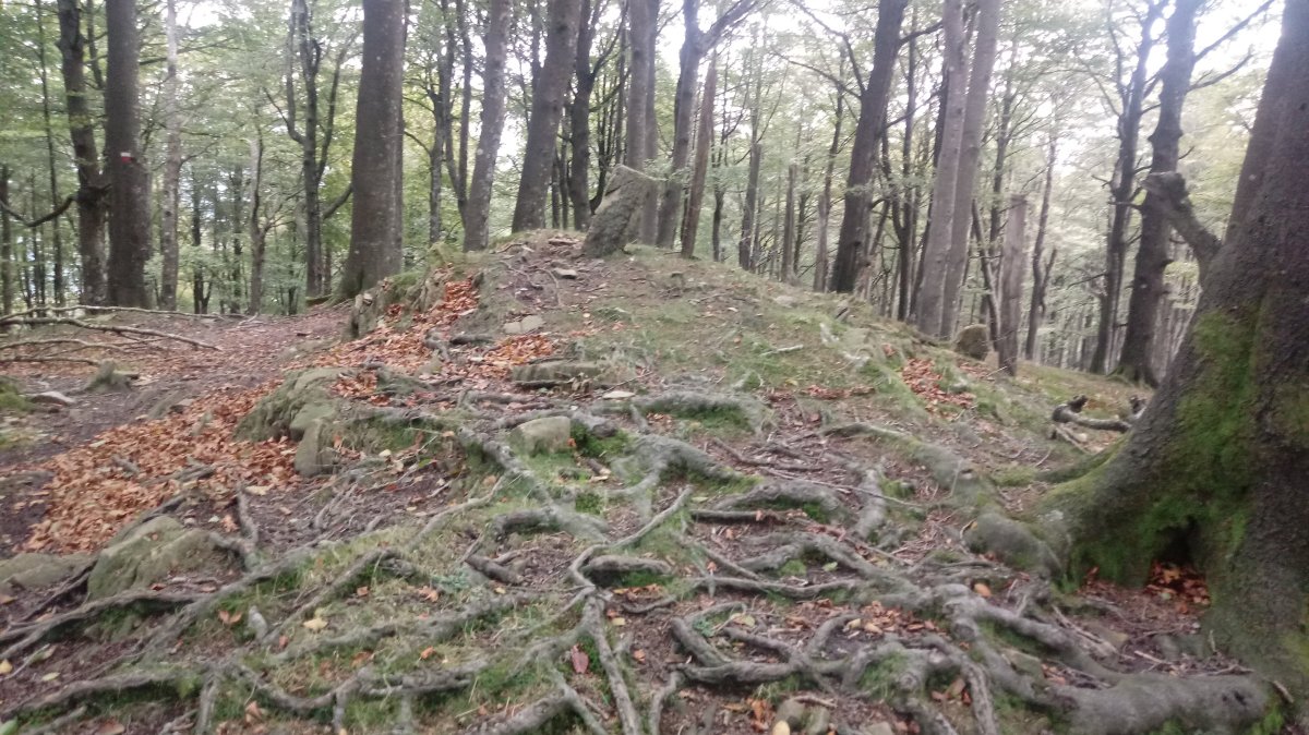 Argonitz (936m) tontorra