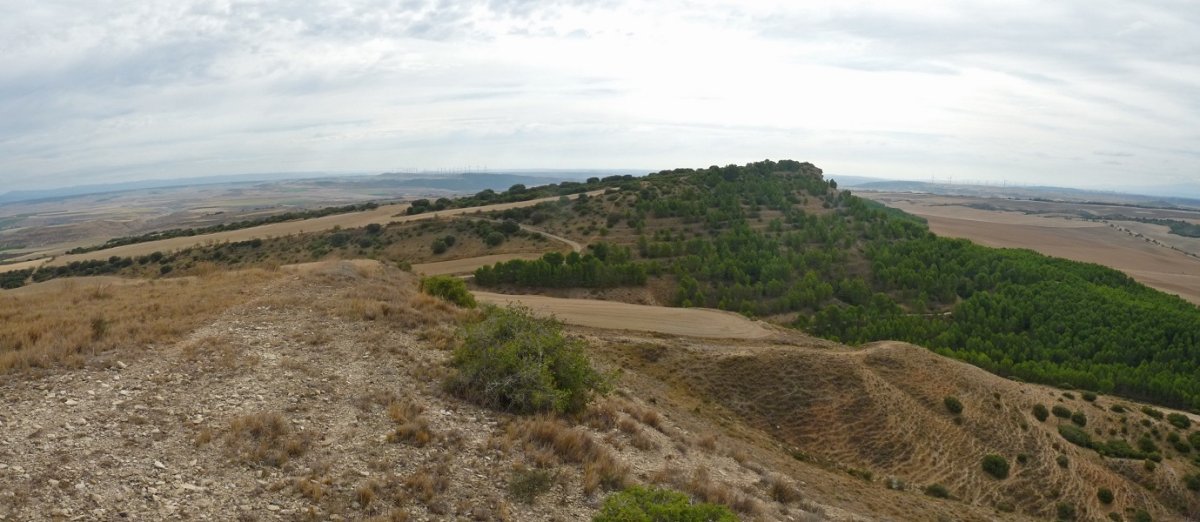 Janariz, iparraldetik