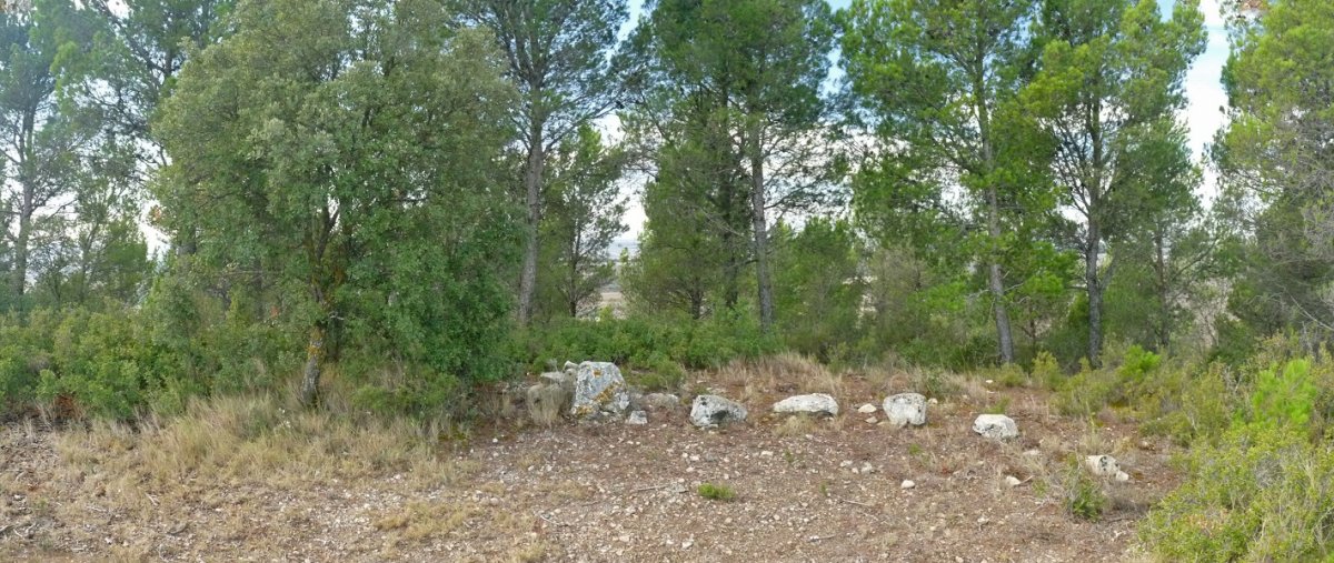 Montealtoko gailurra, Jenariztik hegoaldean