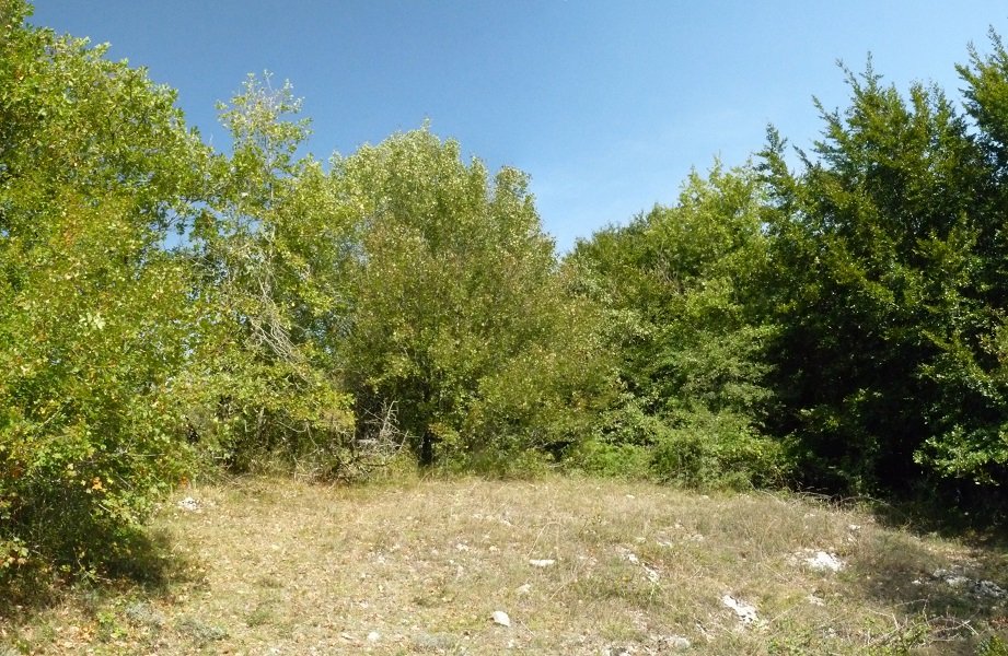 Ardantzezarreko gailurra