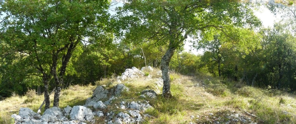 Artebakarreko gailurra