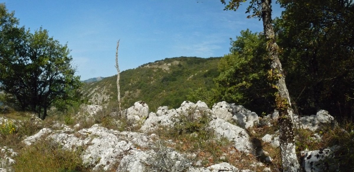 Artebakarreko gailurra