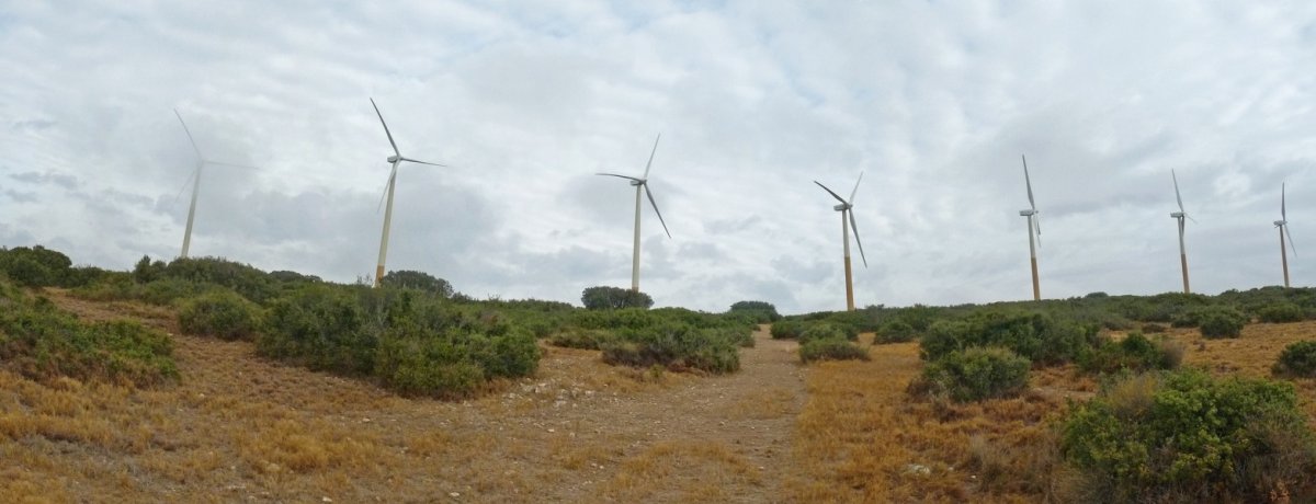 Haizerrotak gainaldean