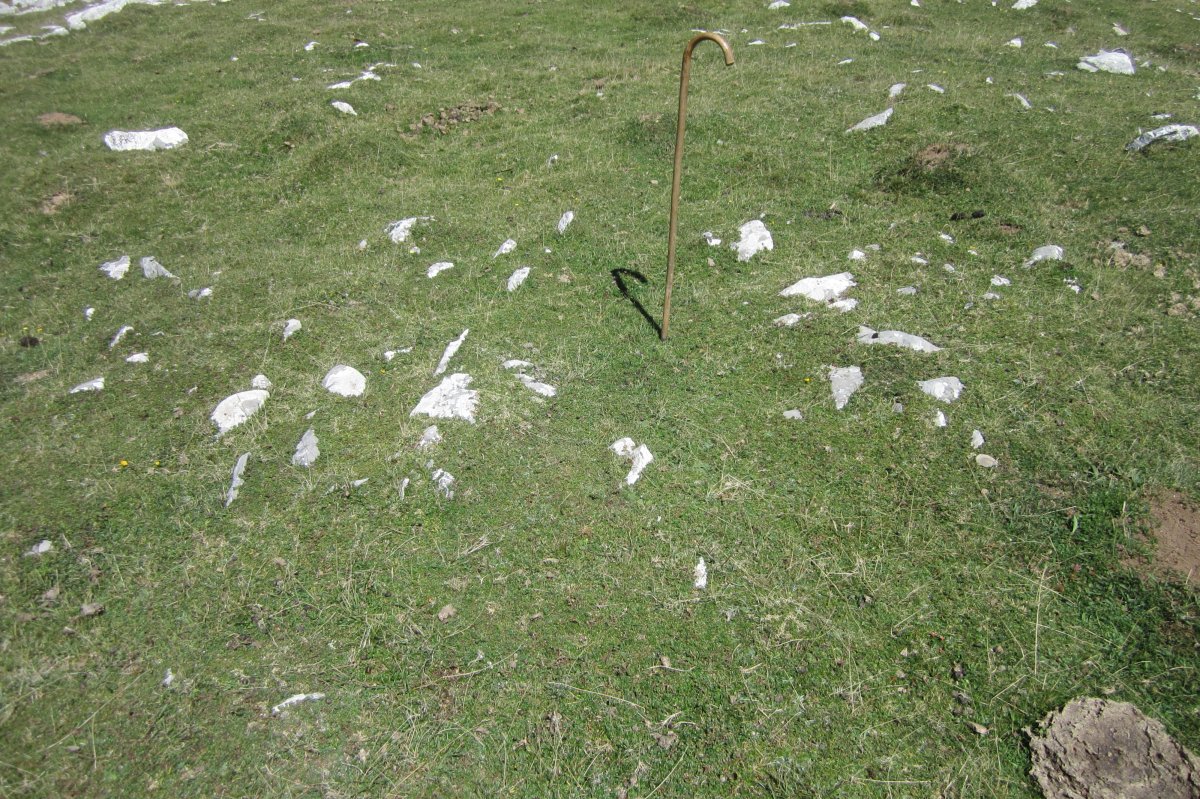 Túmulo Arraska nº 5  (Agosto 2017)