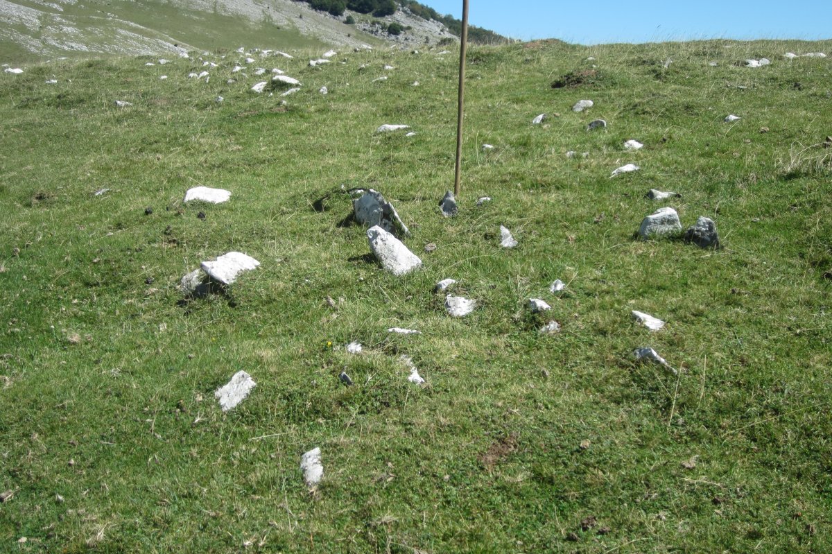 Túmulo Arraska nº 8  (Agosto 2017)