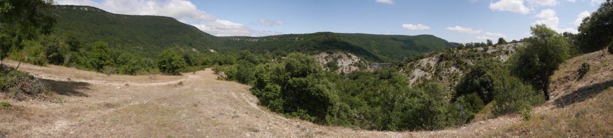 Mandabide lepora bidean