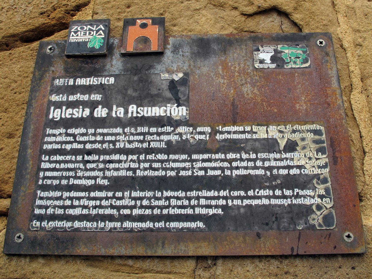 Asuncion eliza, Miranda Arga