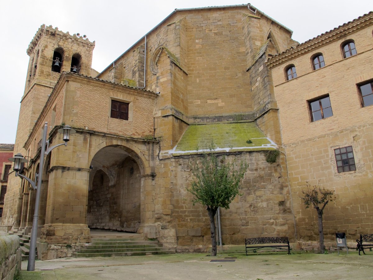 Asuncion eliza, Miranda Arga