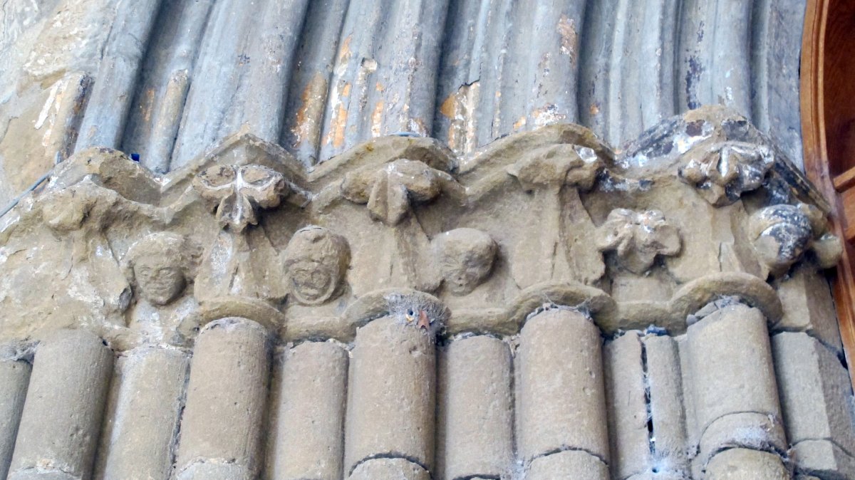 Asuncion eliza, Miranda Arga