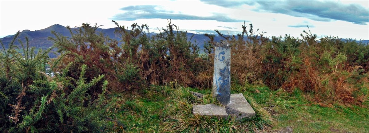 Erpin Geodesikodun Tontorra