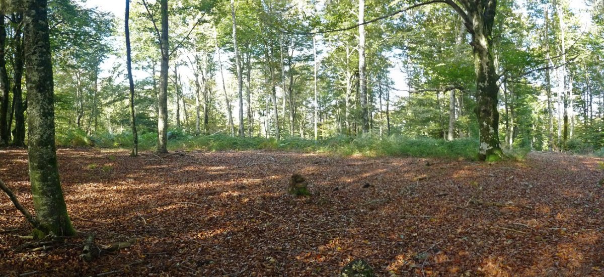 Pillotasoroko gailurra: toki egokia jokatzeko