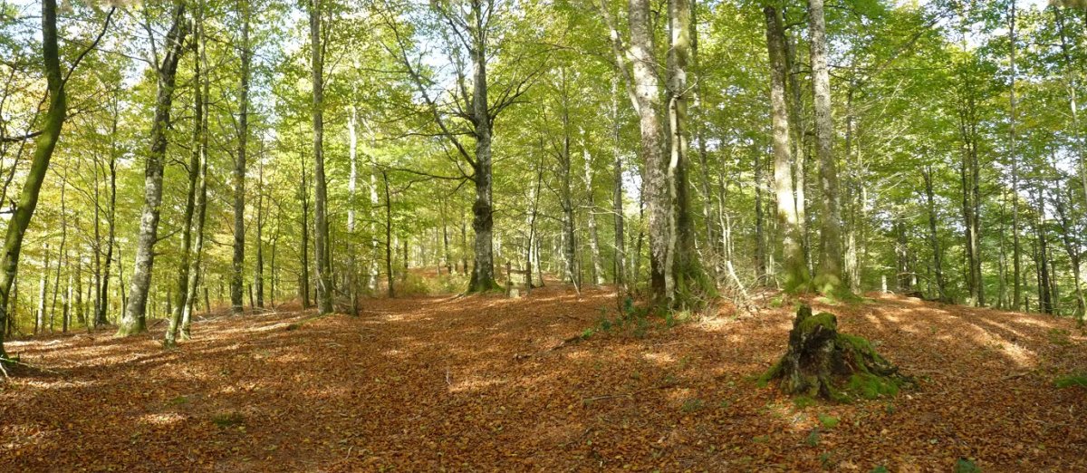 Bidea gainaldean barrena