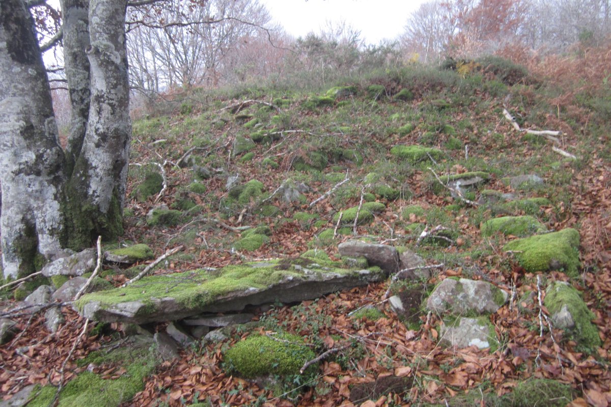 Dólmen Xafran 2 Ego (Noviembre 2019)