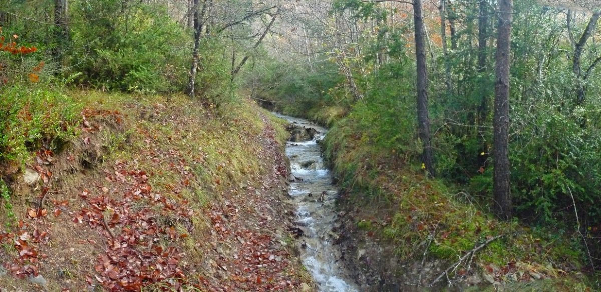Bidea, erreka bihurtuta Valdelossotos arroilean