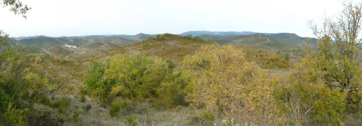 Ipar gailurra hegoaldekotik