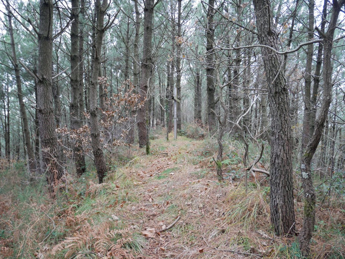 Gurutzea, Bordatxoko bizkarrean