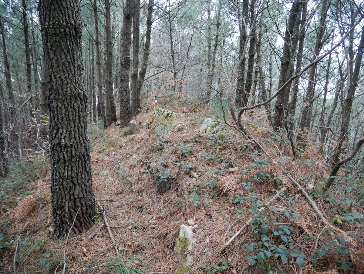 Txartelontzi berriaren tontorra