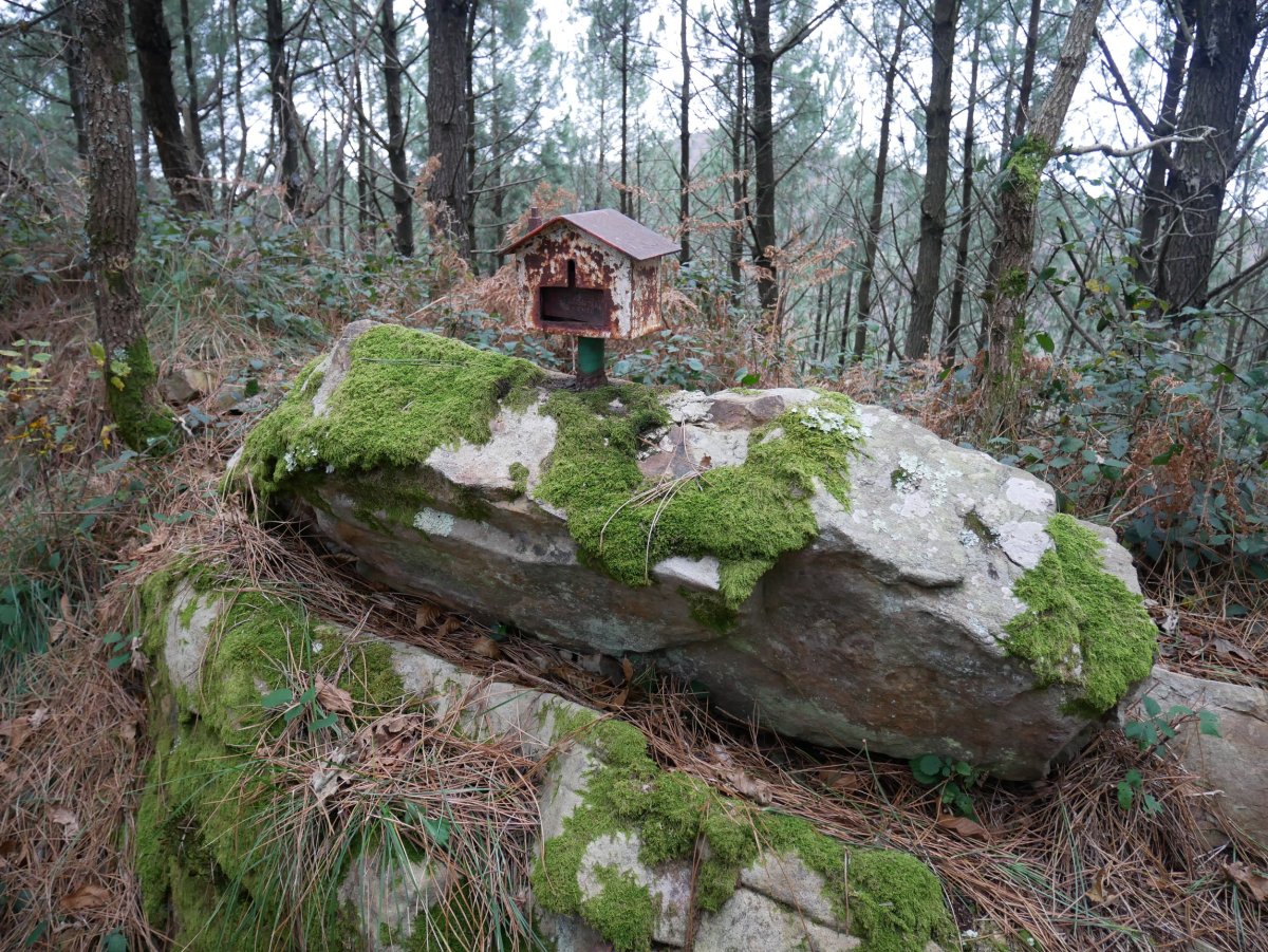 Txartelontzi zaharra, Bordatxo