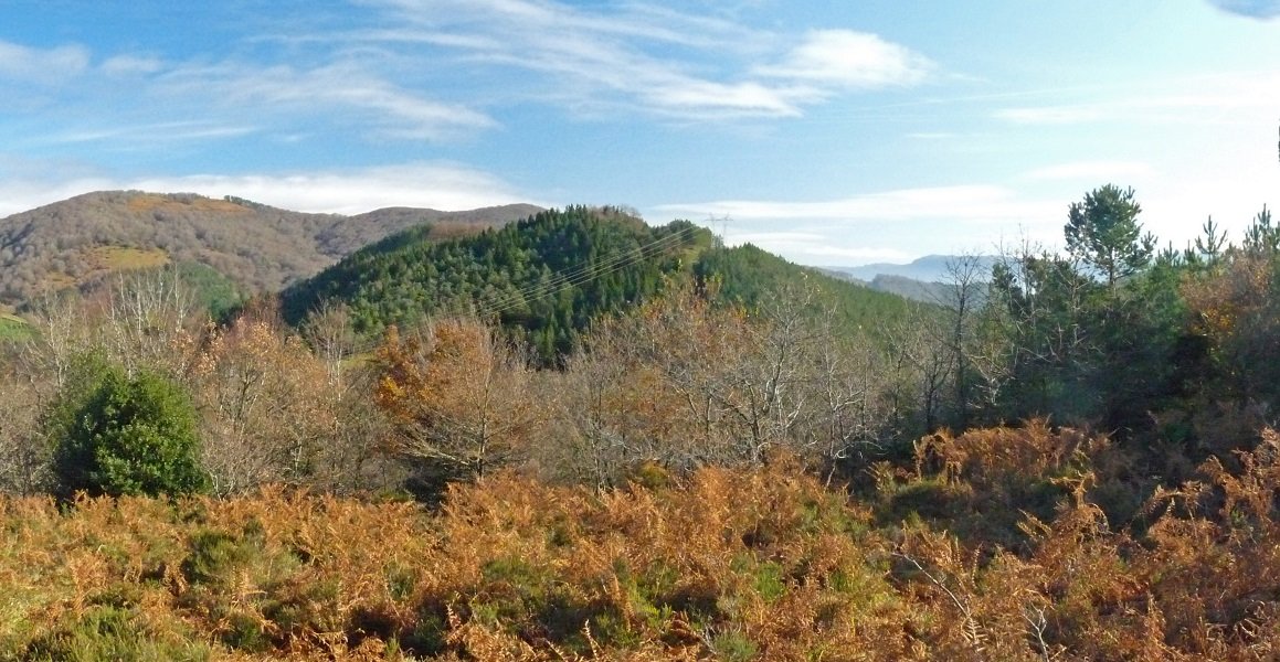 Larrazkondoko soslai oihantsua Gazpidetik