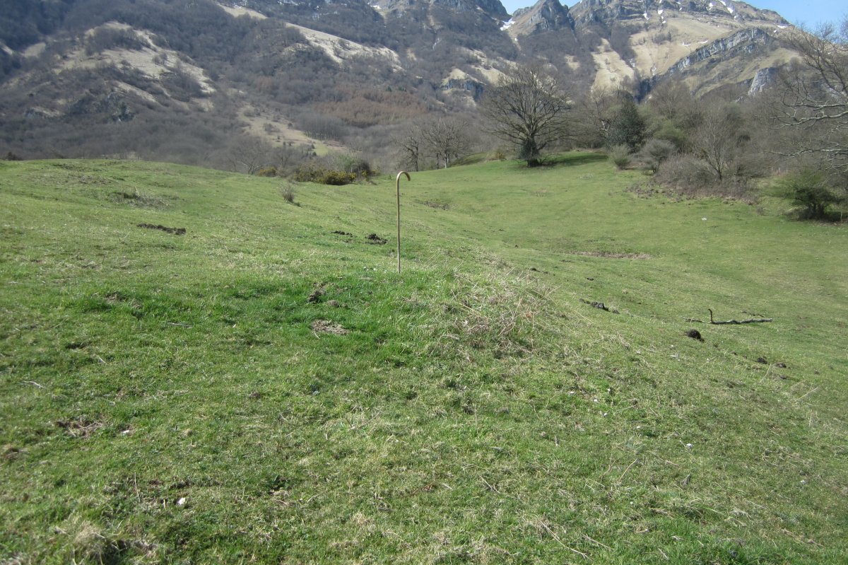 Fondo de Cabaña S. Cruz nº 8  (Abril 2018)