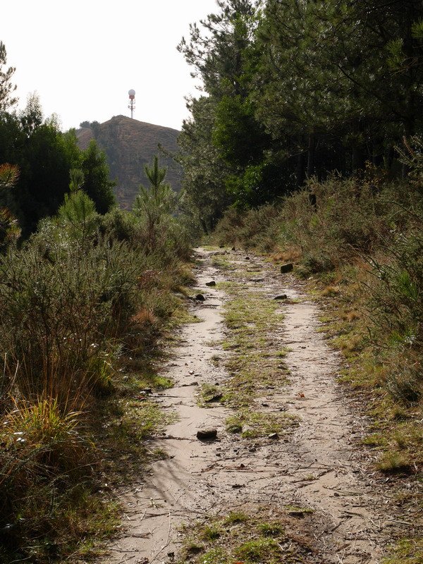 Jata Txikitik Jata Nagusira bidean