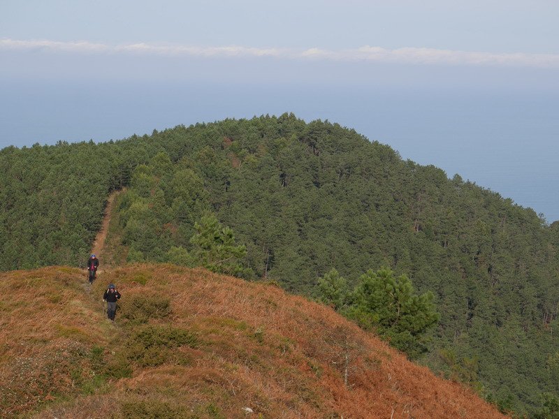 Jata Txikia Jata Nagusitik ikusita