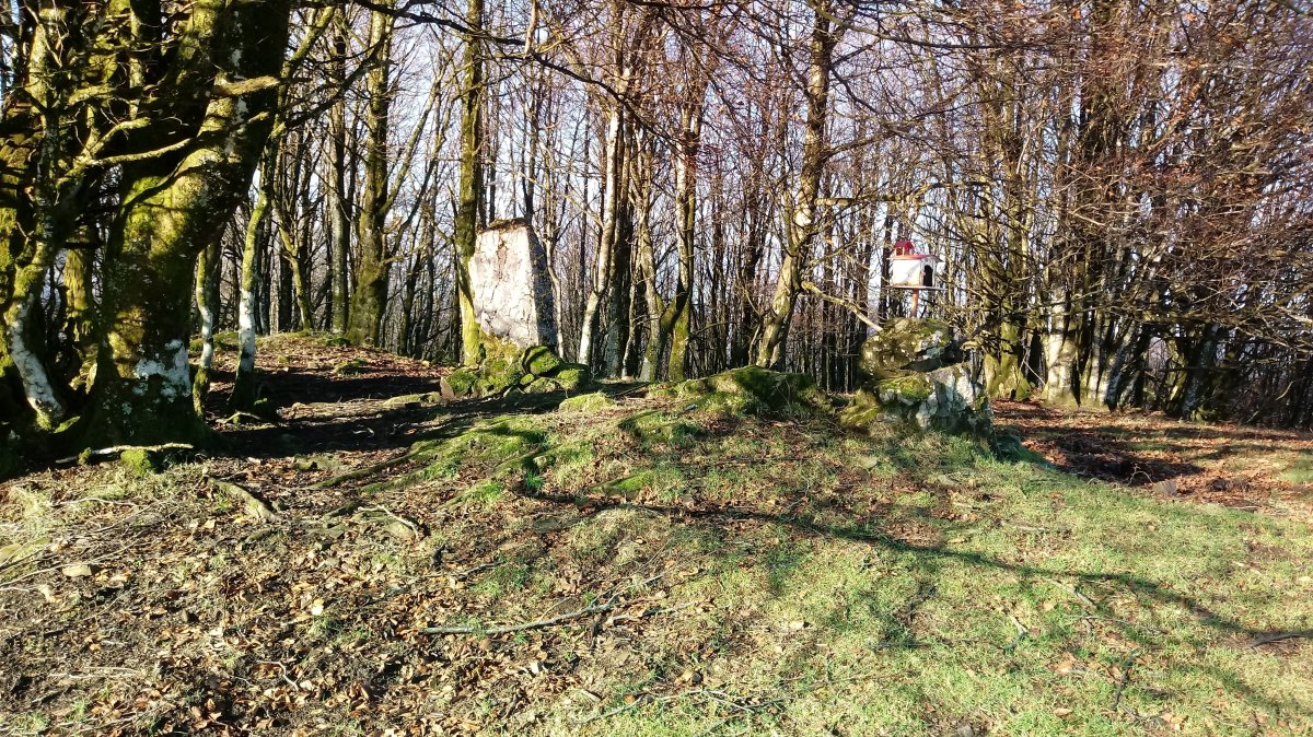 Gurutzebakar (902m) tontorra