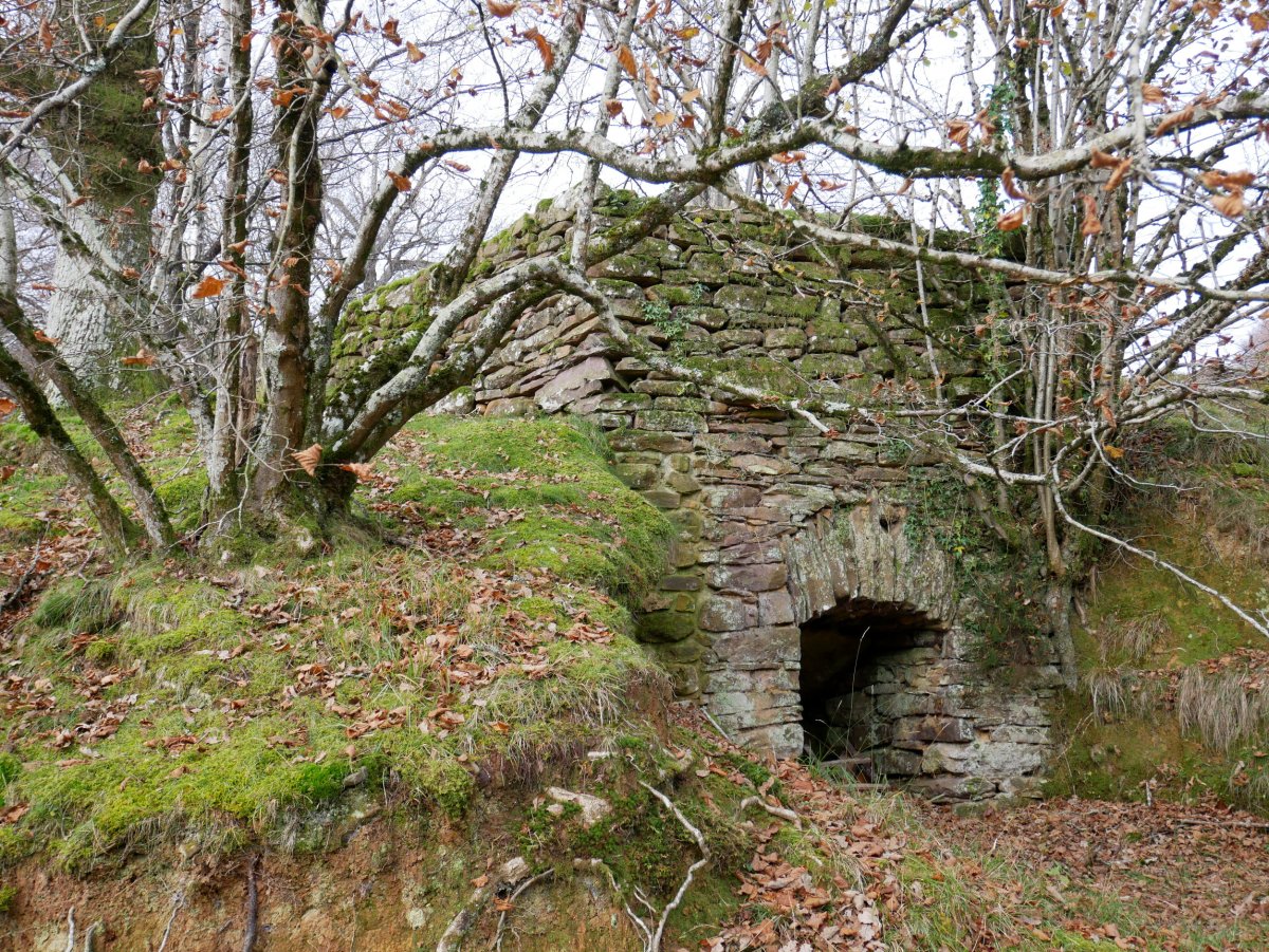 Irantzuko karobia, Berastegi