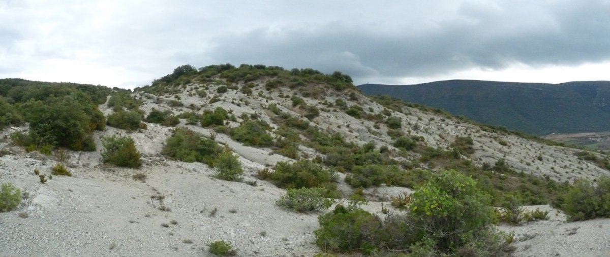 Margak, Domeñuko bidean