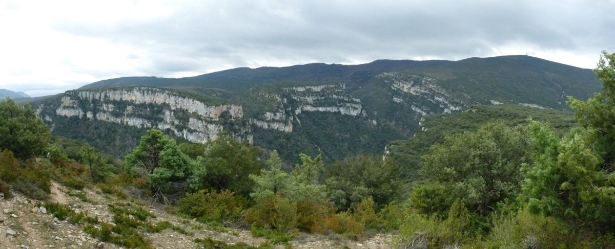 Arbaiungo arroila Monteidorretik