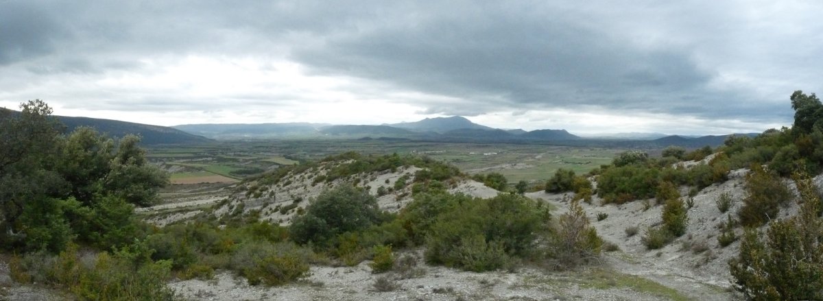 Erromanzadoko bazterrak Monteidorreko bidetik