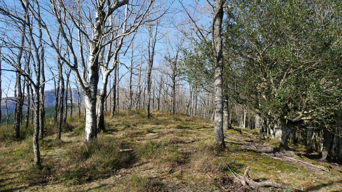 Tontorraren inguruak, Mendiurkillo