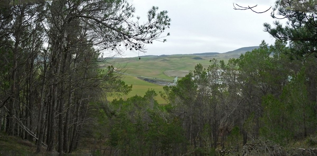 Ikuspegi mugatuak gailurretik