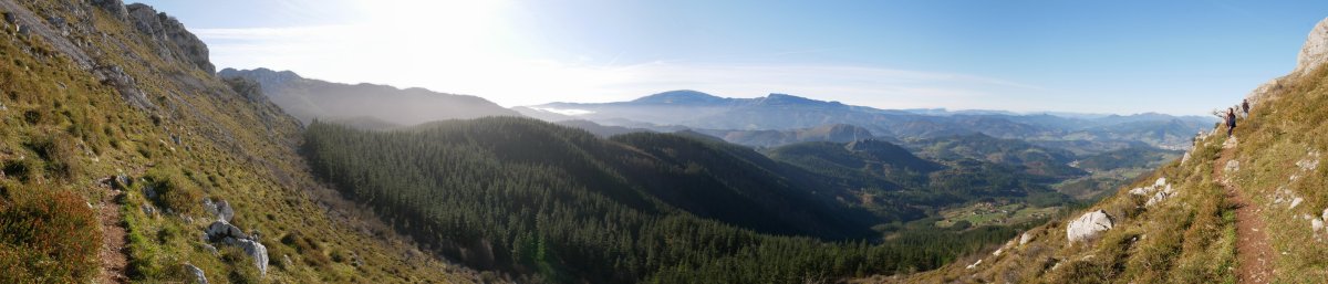 Antzubaltz lepotik Kobasora bidean