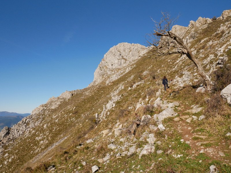 Antzubaltz lepotik Kobasora bidean