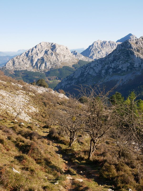 Antzubaltz lepora jaisten den bidearen pasarte bat
