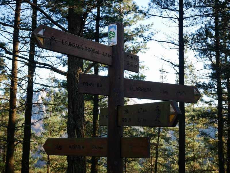 Seinaleak Antzubaltz lepoan