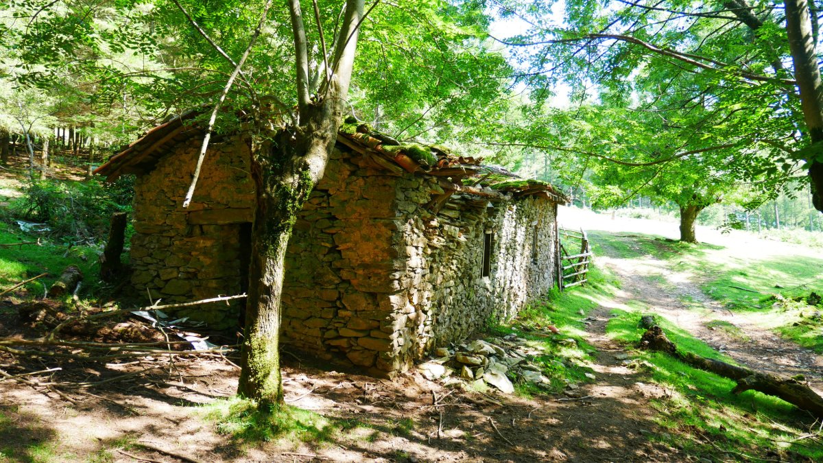 Eberreko bordako txbola