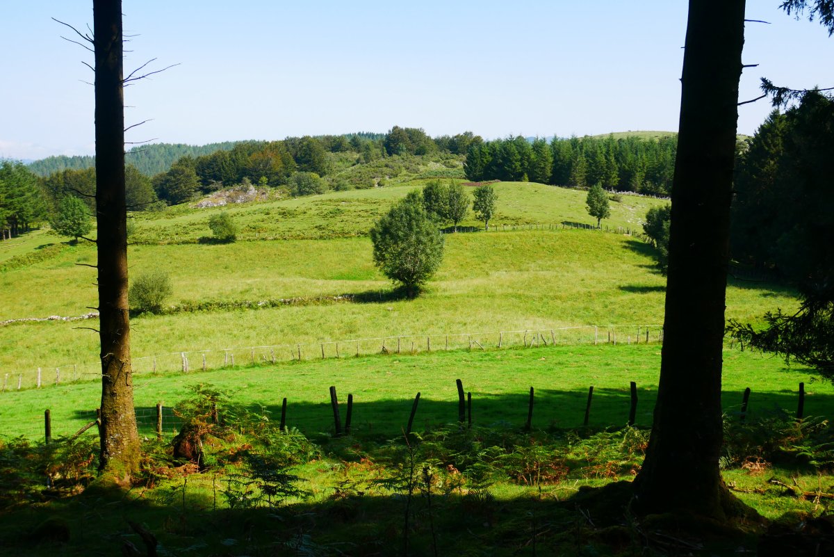 HMko muinorako bidetik Ulizar aldera begira