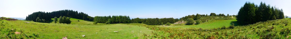 Gainaldeko panoramika