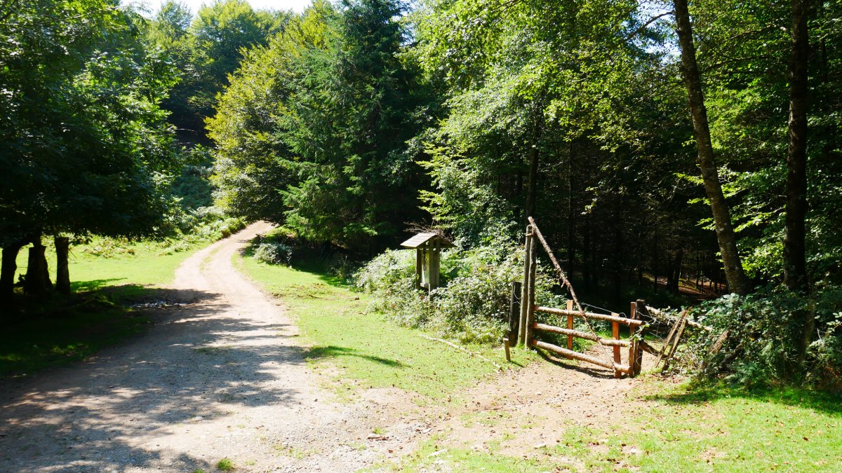 Ulizar eta Altzegi arteko lepoa