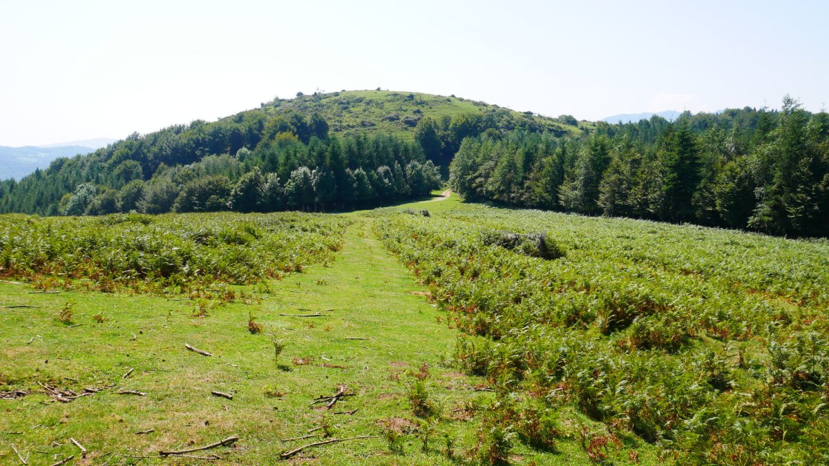 Ulizar Altzegi aldetik ikusita