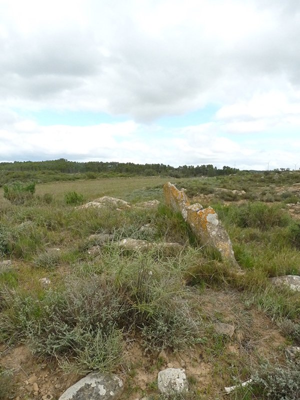 Kandaraitz trikuharria