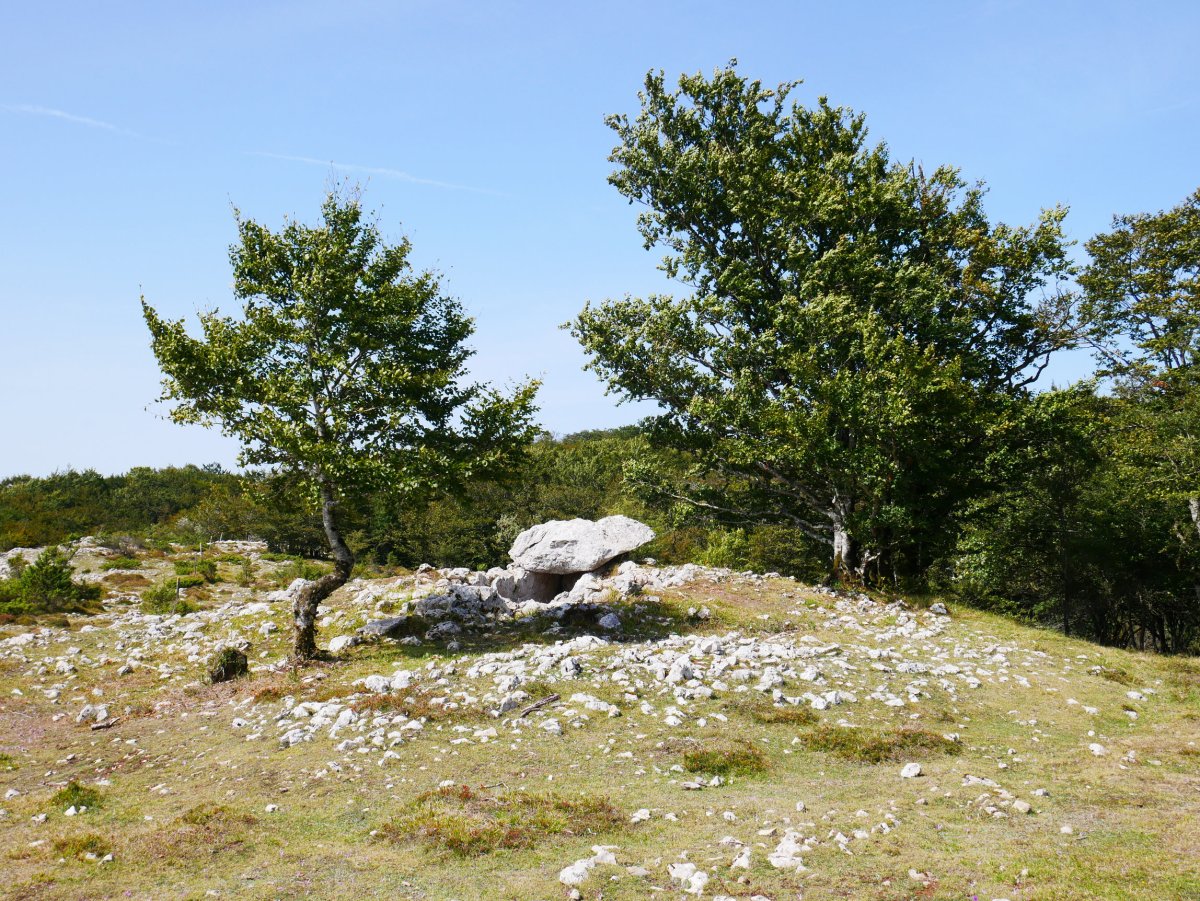 Larrazpil trikuharria