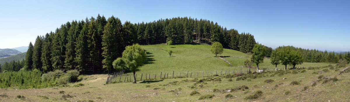 Ulizar inguruko paisaia