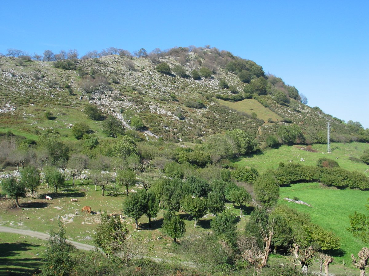 Ekialdeko isurialdea