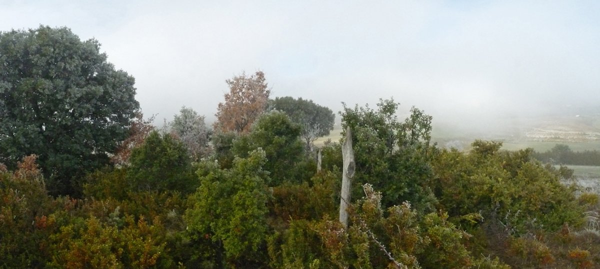 Mendi gainaldea batzuetan itxi egiten da