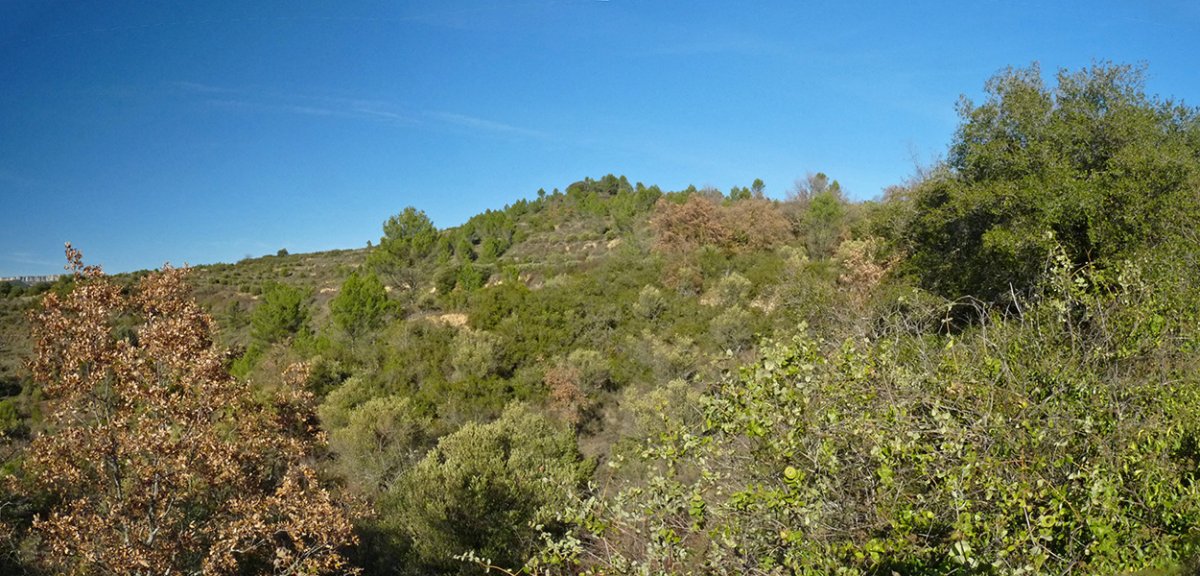 Gurugu hegoaldeko gailurra